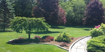 Landscaping and Maintenance